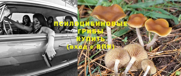 каннабис Новозыбков