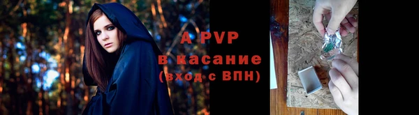 каннабис Новозыбков