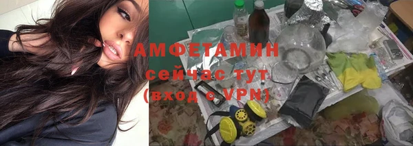 каннабис Новозыбков